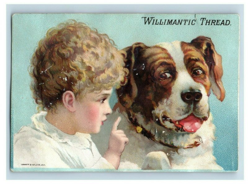 Lot Of 6 1880's Sewing Thread Trade Cards Funny Dog Children Beach Horses P154