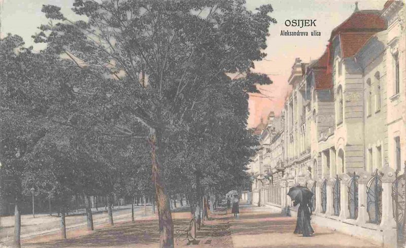 Aleksandrova Ulica Street Osijek Croatia 1910c #2 postcard