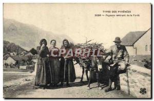 Old Postcard Donkey Mule Pyrenees Peasants returning from the forest