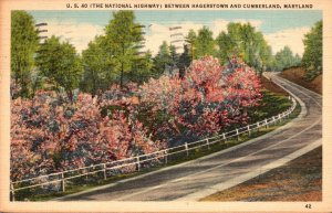 Maryland U S Highway 40 Between Hagerstown and Cumberland 1942