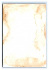 1880s Masquerade Jester Mandolin Winter Scene Fab! P205