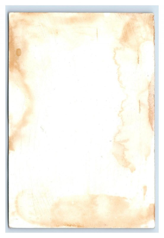 1880s Masquerade Jester Mandolin Winter Scene Fab! P205