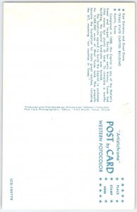 Texas State Capitol Building Austin Vintage Linen Postcard Dome