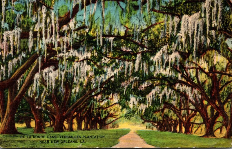 Louisiana New Orleans Versailles Plantation De La Ronde Oaks 1941