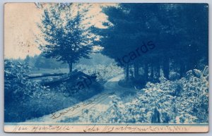 K45/ Crivitz Wisconsin RPPC Postcard c1910 Lovers Lane Blue Tint 106