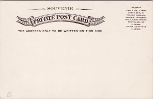 Qu'Appelle Valley Saskatchewan SK Sask Souvenir Private Postcard E79