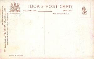 Raphael Tuck An Elopement Up-To-Date Signed Charles Pett Postcard 6