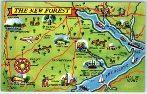 THE NEW FOREST, England UK    ILLUSTRATED MAP Pictorial  Vintage Postcard