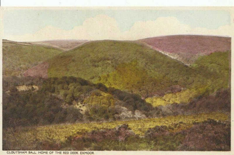 Devon Postcard - Cloutsham Ball Home of Red Deer - Exmoor - Ref 8468A