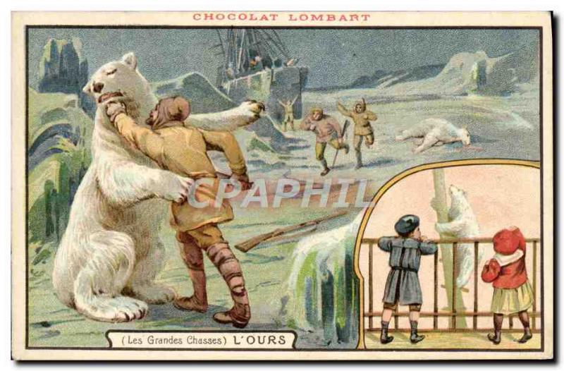 Old Postcard Ours Blanc Chocolat Lombart Hunting