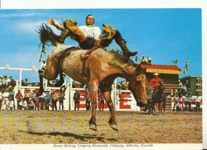 Canada Postcard - Bronc Riding - Calgary Stampede - Calgary - Alberta Ref 10766A