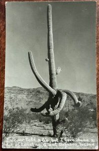 Emery Park AZ 12/4/1951 Saguaro Cactus RPPC US #804 Prexie L37