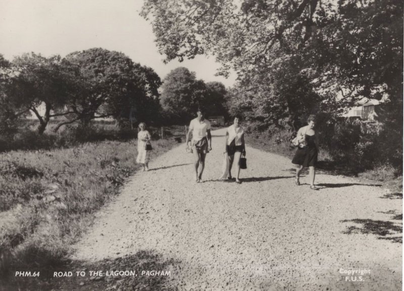 Rambling To The Road Lagoon Pagham Sussex RPC Postcard