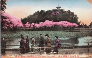 Japan Cherry Blossoms Sankeien Honmoku Yokohama Hand Tinted Postcard C081