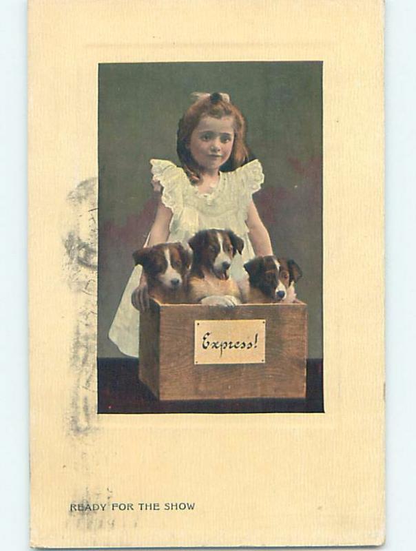 c1910 CUTE GIRL WITH ADORABLE PUPPY DOGS IN WOODEN BOX HL5504