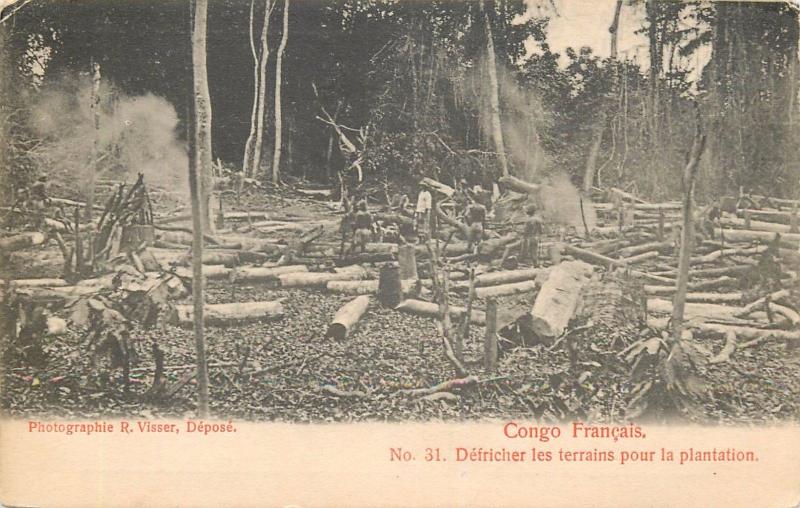 French Congo CLICHE 1900 R. VISSER N° 31 Defricher les terrains pour plantation