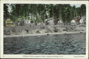 Newton Junction NH Country Pond Wilder's Grove Homes c1915 Postcard