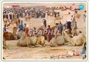 Postcard Modern typical Morocco