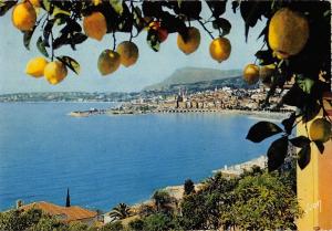 BT10204 Menton vue generale       France