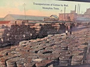 Postcard Hand Tinted View of Transportation of Cotton by Rail, Memphis, TN. X3