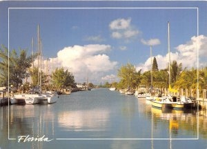 Lot 11 usa florida waterway boat yacht scenic landscape
