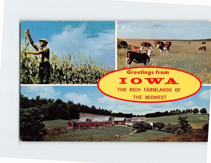 Postcard The Rich Farmlands Of The Midwest Greetings from Iowa USA