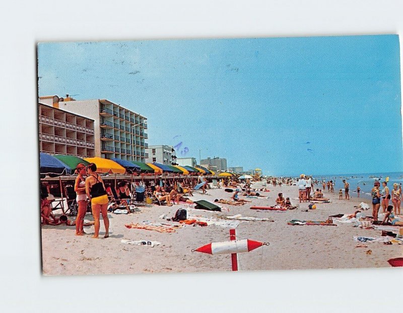 Postcard A view looking north Virginia Beach Virginia USA