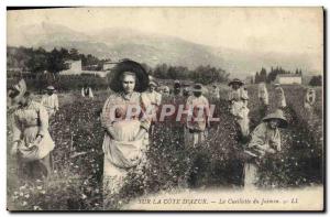 Old Postcard Collection Jasmine Cote d & # 39Azur