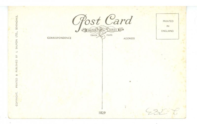 Birds - Long-Tailed Tits