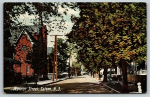 Salem New Jersey~Walnut Street Homes & Church~Tree Lined~c1910 Postcard