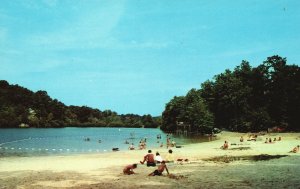 Postcard Bathing Beach Cacapan State Park Berkeley Springs West Virginia VA