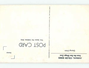 Chrome ZOO SCENE San Diego California CA AG1713