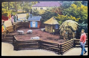 Vintage Postcard 1930-1945 3 Little Pigs, Belle Island, Detroit, Michigan (MI)