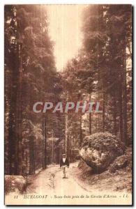 Huelgoat - Undergrowth near the Grotto of Artus - Old Postcard