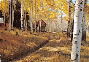 Aspen Country - Arizona