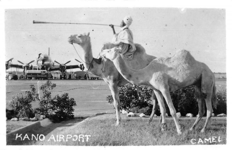 Kano Nigeria Airport Man on Camel blowing Horn Real Photo Postcard AA45125