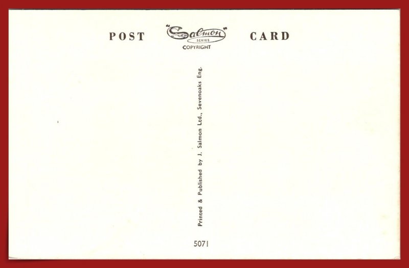 Suprise Attack - Blue Persian & Short-haired Tabby - [MX-969]