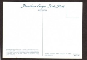 GA Providence Canyon State Park Lumpkin Georgia Postcard