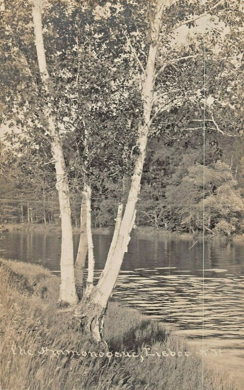 LISBON NEW HAMPSHIRE~THE AMMONOOSUC RIVER~1910s REAL PHOTO POSTCARD