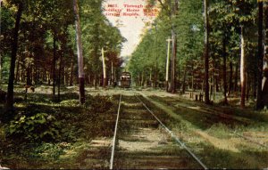 Michigan Grand Rapids Trolleys Through Soldiers Home Woods