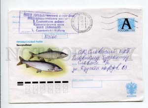 412848 RUSSIA 2000 year Zhilichkin whitefish fish real posted postal COVER