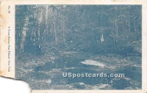 Trout Stream - Eldred, New York NY Postcard