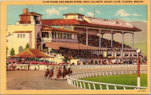 postcard Tijuana Mexico  - Club House and Grand Stand, Agua Caliente Jockey Club