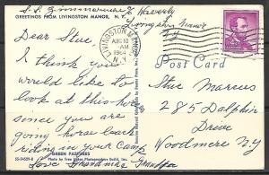 New York, Livingston Manor - Greetings - [NY-056]