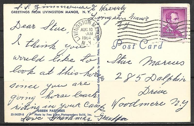 New York, Livingston Manor - Greetings - [NY-056]