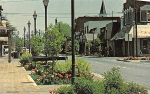 Perry, GA Georgia  CARROLL STREET SCENE Downtown Stores~Flowers  CHROME Postcard