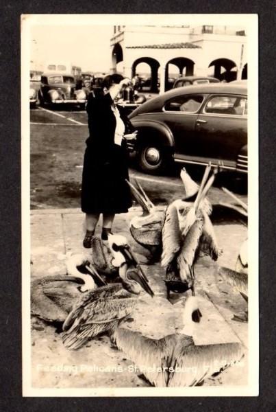 FL Women feeding Pelicans St Petersburg Florida RPPC Real Photo Postcard Old Car