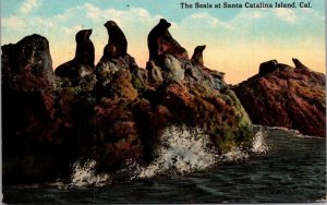 California Santa Catalina Island The Seals 1913