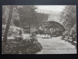 Norfolk OLD SAXON BRIDGE & NORWICH CASTLE MOAT - Old Postcard by I & S 7027