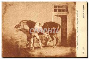 Old Postcard Horse Riding Equestrian Gericault Palfrenier bouchonnant a horse...